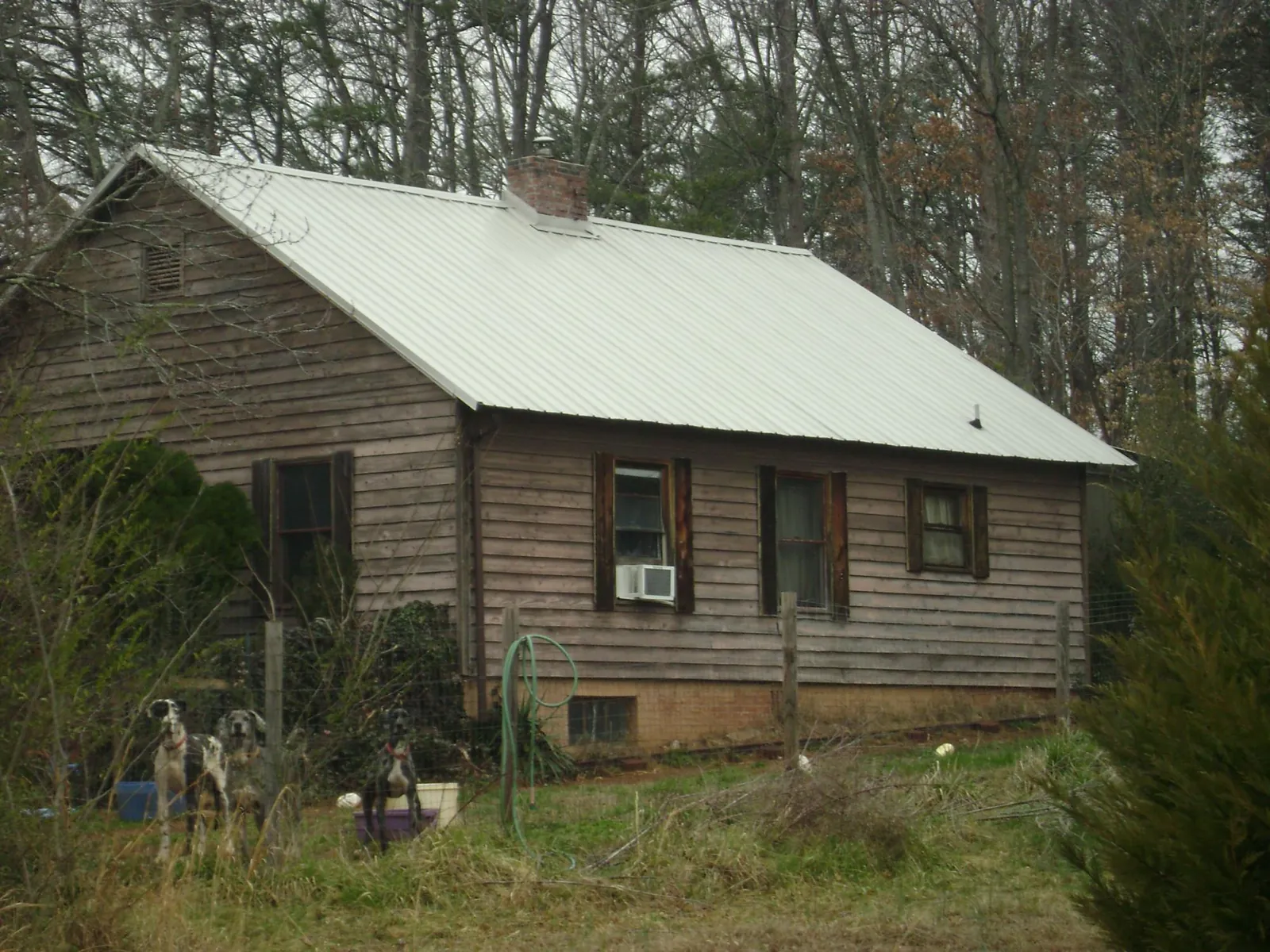 White metal roof on an old wood sided farmhouse, from a Asphalt Shingle Roof Repair job in Cassville